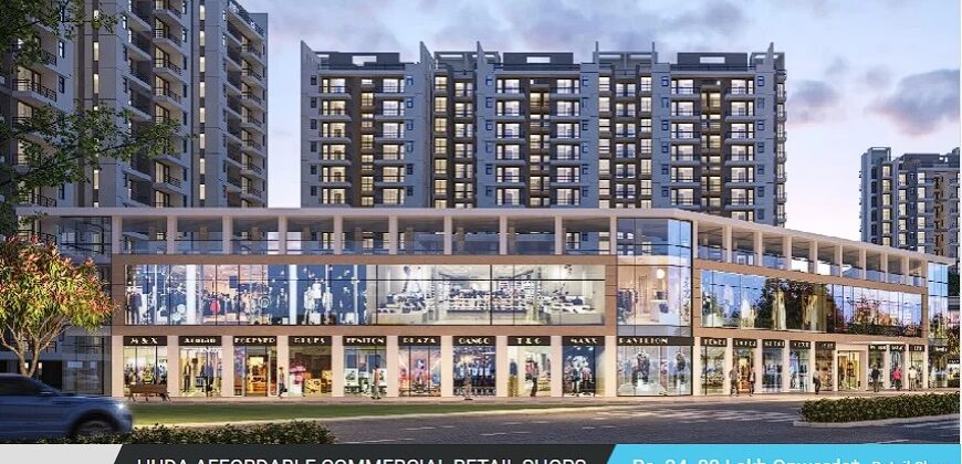 hcbs-auroville-plaza-affordable-shops-sector-103-gurgaon