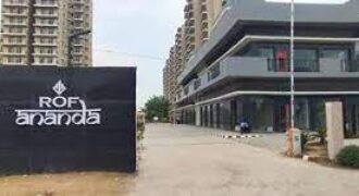 2-bhk-bedroom-apartment-flat-for-rent-in-rof-ananda-sector-95-gurgaon-600-sq-ft