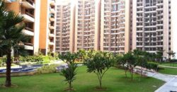 4-bhk-bedroom-apartment-flat-for-rent-in-tulip-violet-sector-69-gurgaon-2010-sq-ft