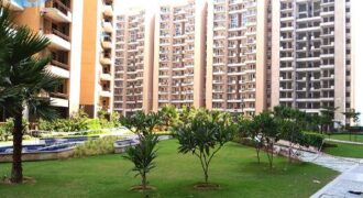 4-bhk-bedroom-apartment-flat-for-rent-in-tulip-violet-sector-69-gurgaon-2010-sq-ft